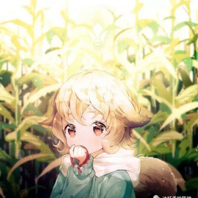 人贩子拐卖十余名儿童已被执行死刑